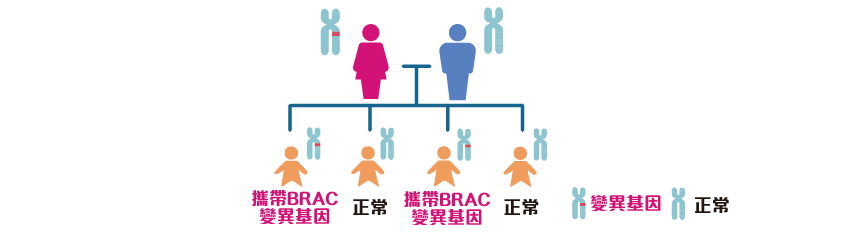 50%变异的BRCA可遗传到下一代